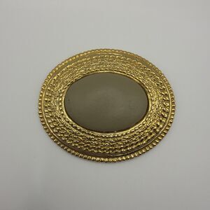 Grey Brown Colored Leather Oval Dome Centerpiece Gold Tone Belt Scarf Buckle